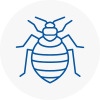 Bed Bug Extermination In Kings Langley